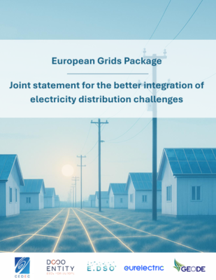 European Grids Package: Joint Statement for the Better Integration of Electricity Distribution Challenges
